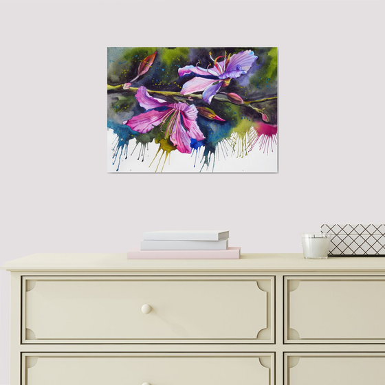 Expressive bauhinia