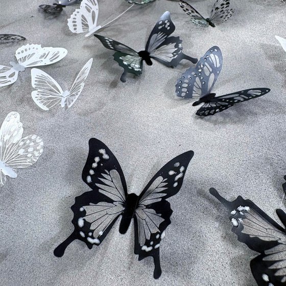 Mono metamorphosis