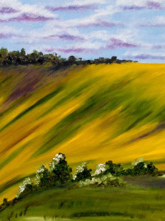 Tuscany Painting Landscape Original Art Sunflower Field Oil Artwork Home Wall Art 20 by 14" by Halyna Kirichenko