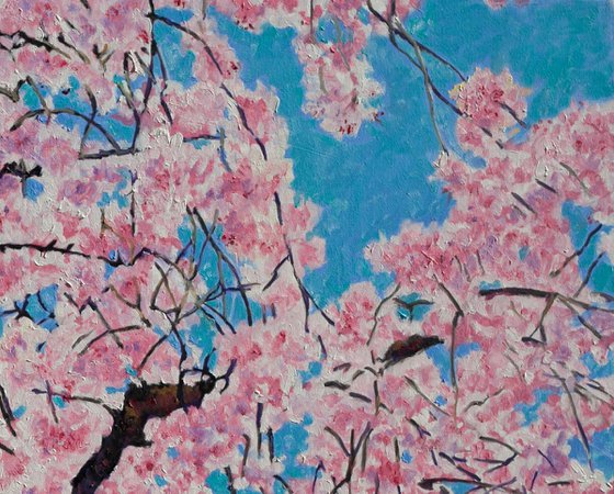 Cherry Blossom