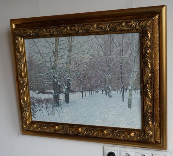 Snow-covered boulevard in Maryino