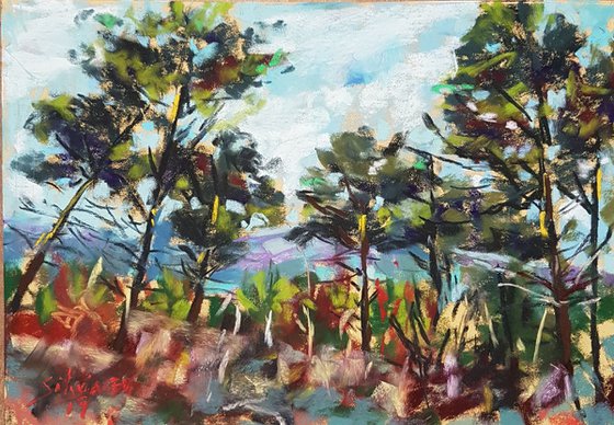 First painting of 2019. Pine trees in Cazorla. Gift.