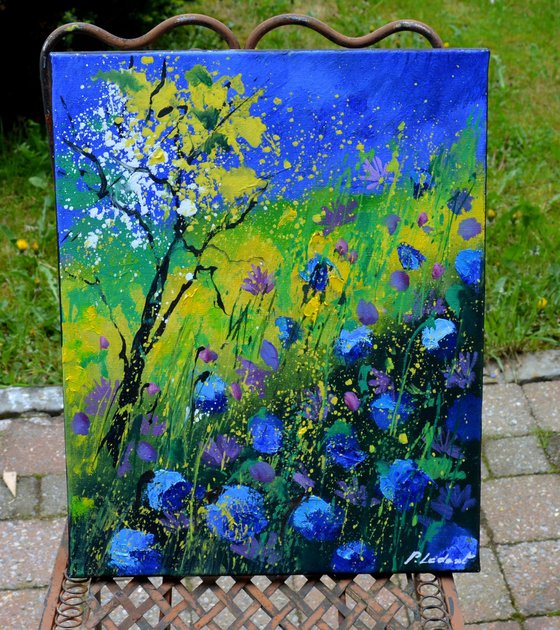 Blue  wild flowers - 4523