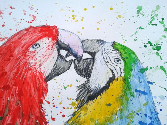 "Parrot love"