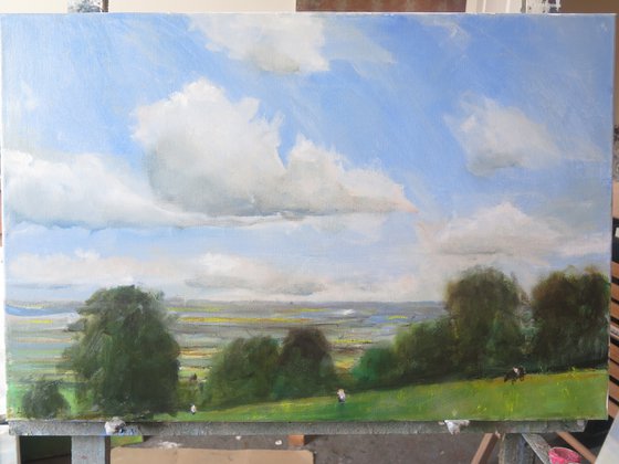 Yorkshire Wolds, June 2