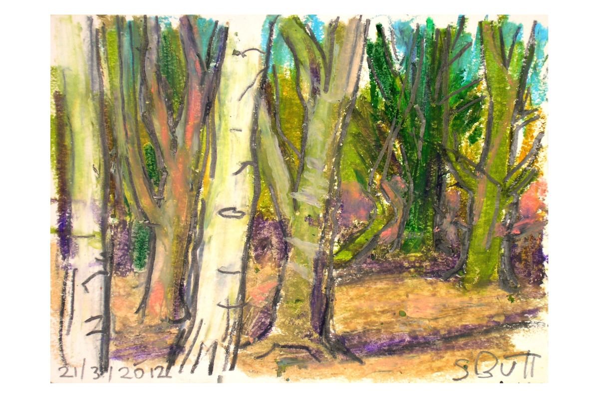 Birch Trees 01 by Samuel Buttner