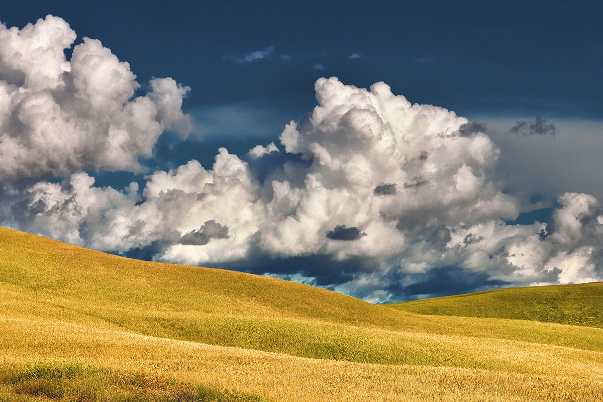 Photorealistic Landscape Photograph By Peter Zelei, 39 X 28", Summer In Tuscany Iii., Original Artwork