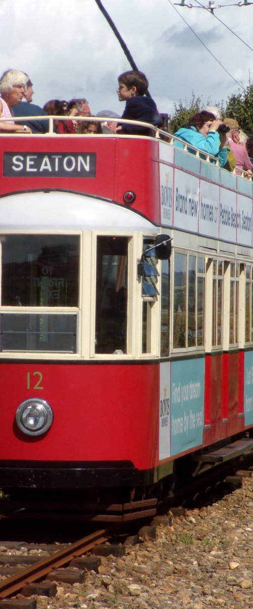 Red and white Seaton tram, Devon by Tim Saunders