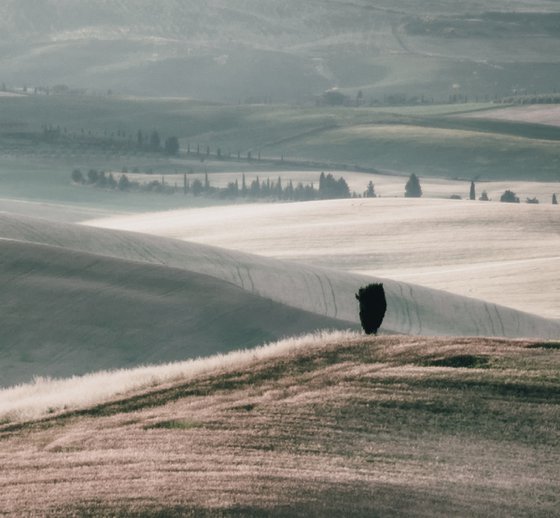 Summer among the Tuscan Hills