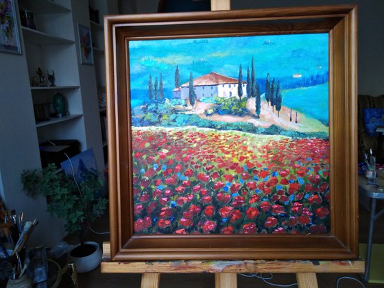 Poppies in the hills of Tuscany