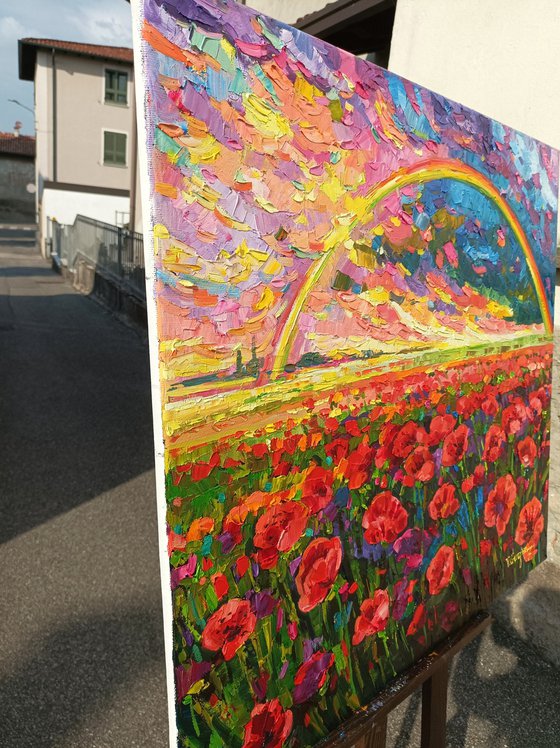 Rainbow on the poppies field