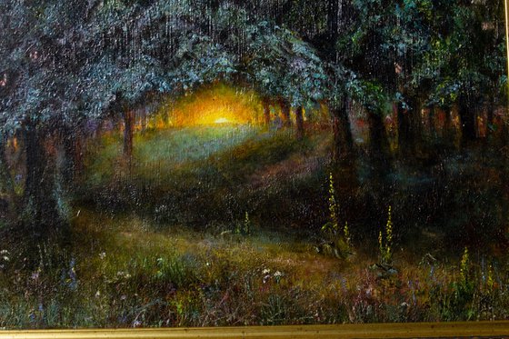 Sunset in the forest