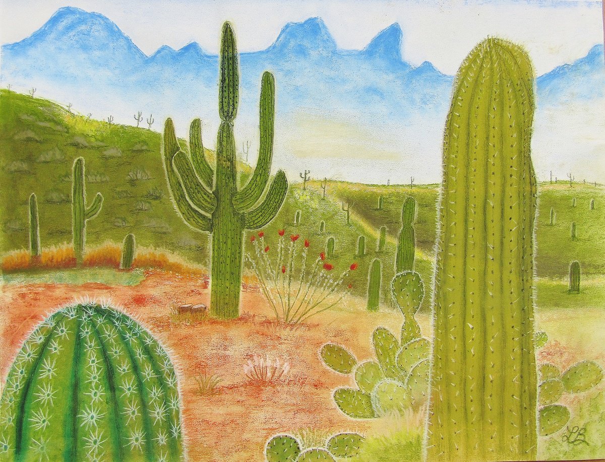 Arizona Cactus by Linda Burnett