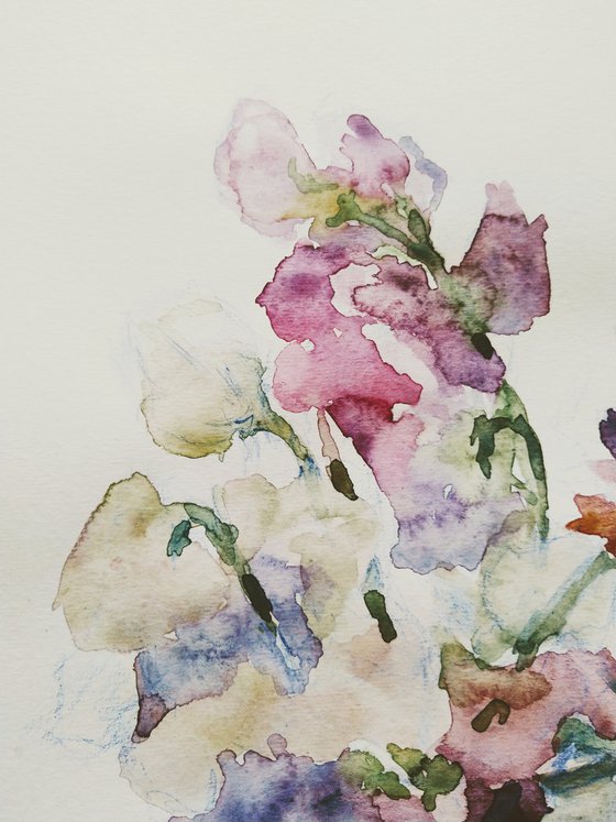 Sweet pea (Charming). Original watercolour painting. 2021