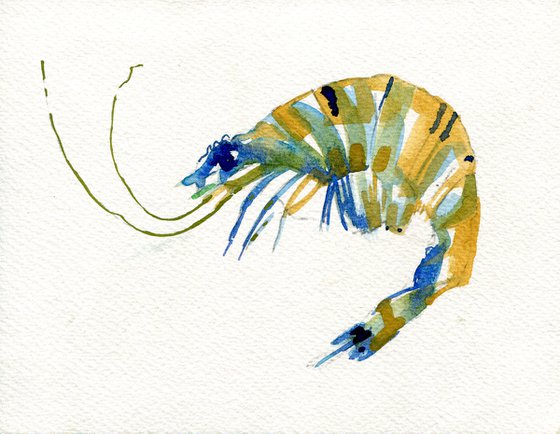 Green and blue Prawn II