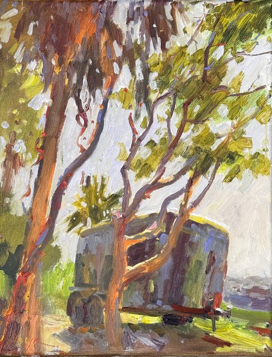 Under the Palm’s Shade
