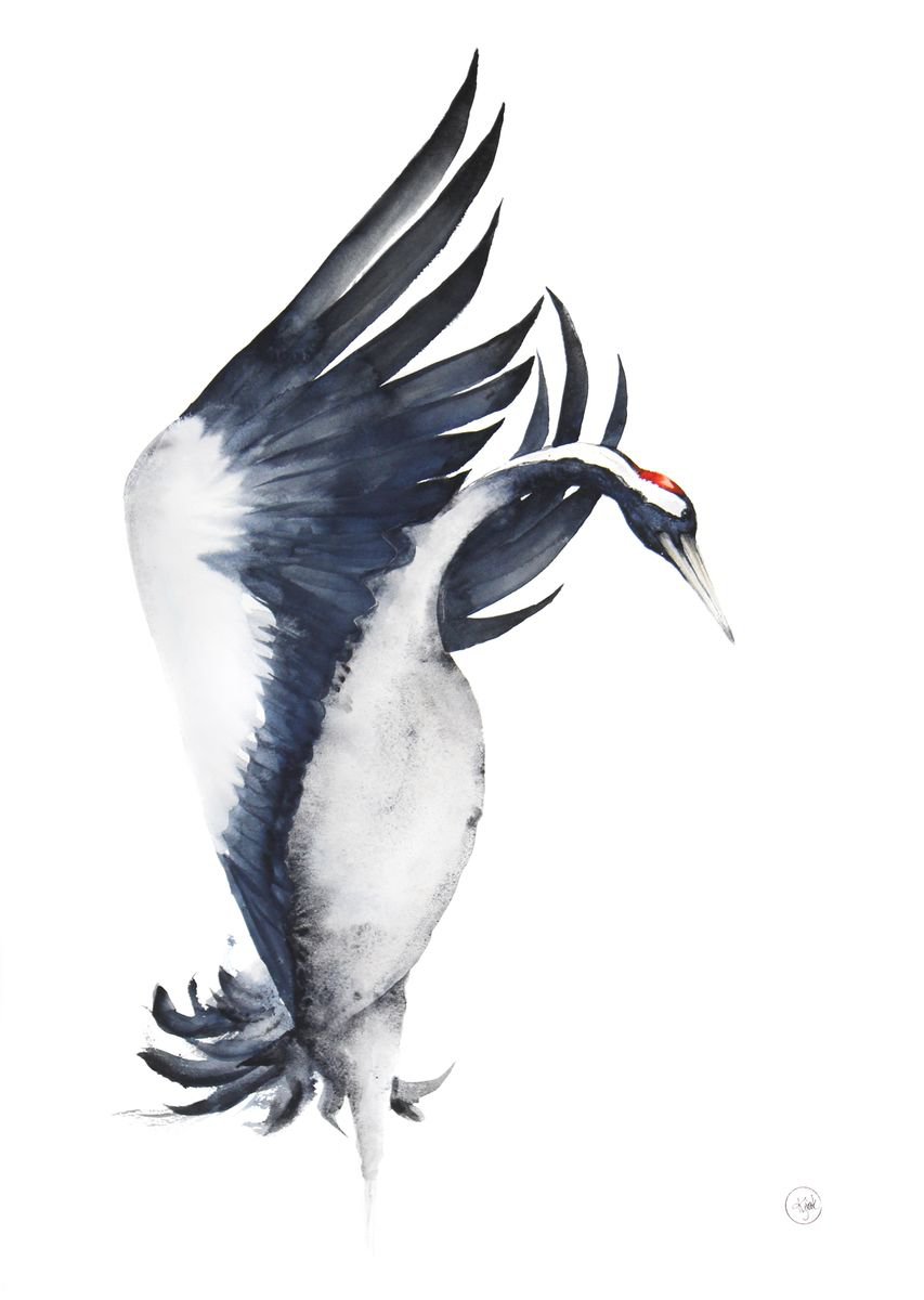 Common crane 50x70cm, wildlife, bird, watercolour painting by Karolina Kijak