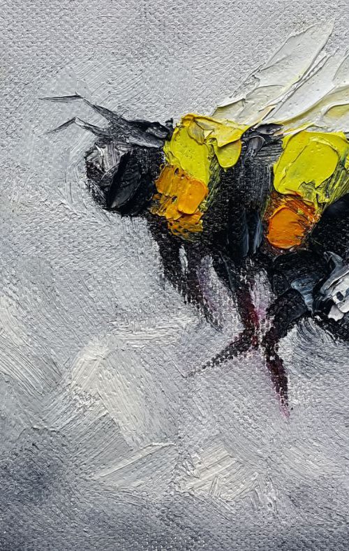 Life of insects by Anastasia Kozorez