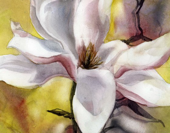 magnolia in pink watercolor floral