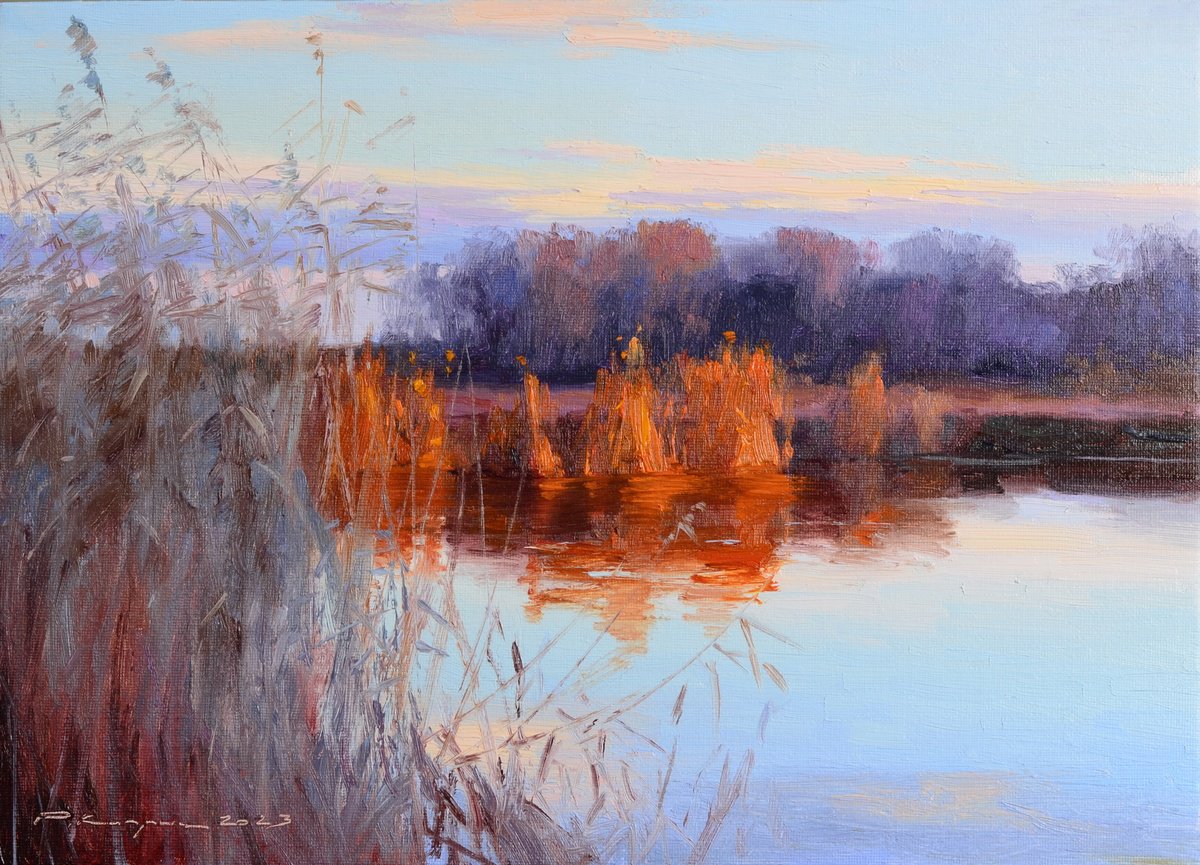 Reeds In The Sunset By Ruslan Kiprych, 14 X 10, Artwork For Sale On Artfinder