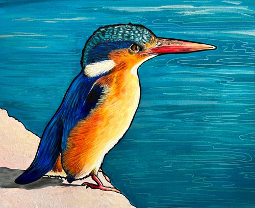 Kingfisher by Karen Elaine  Evans