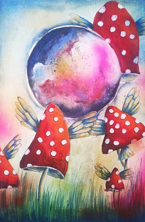 Where Mushrooms Dream