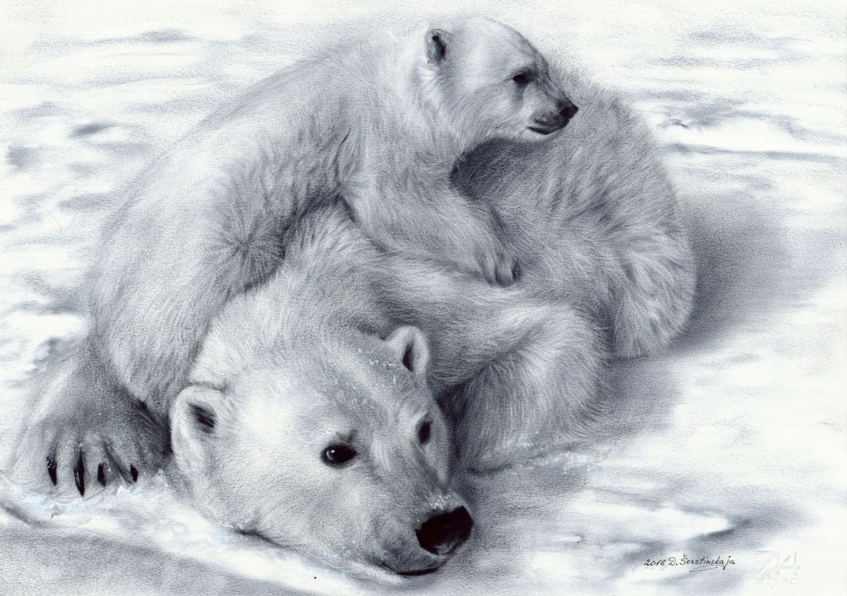 белый медведь фото картинки рисунки