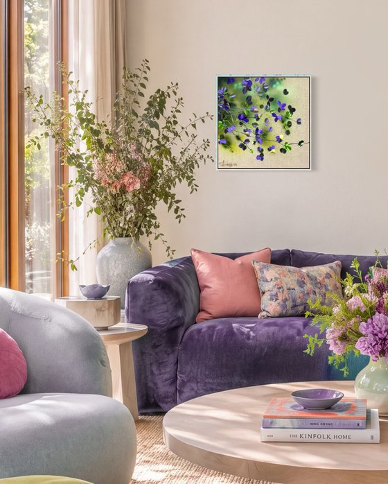 Violet Bloom
