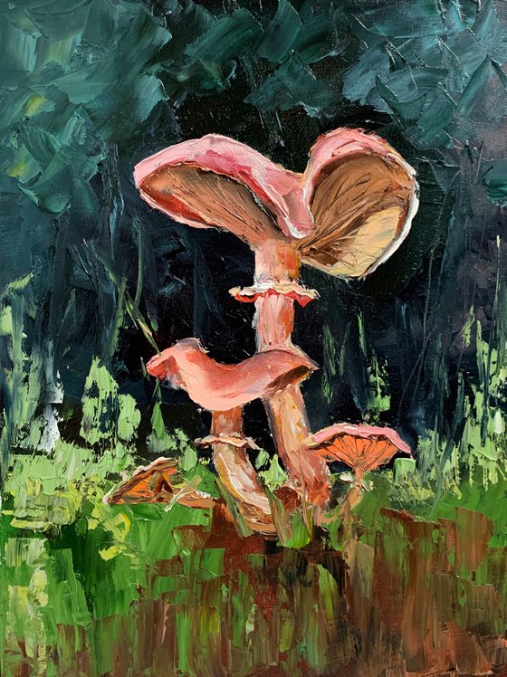 Fungi chanterelle Mushrooms.