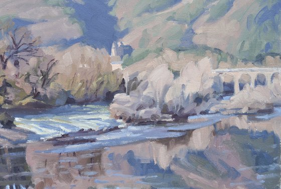 January 16, frost on the banks of the Loire