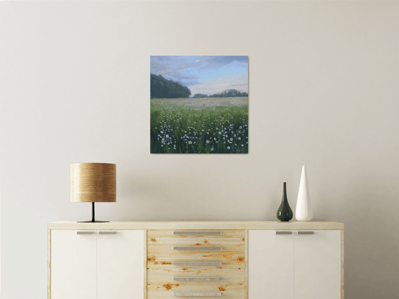 Field of daisies