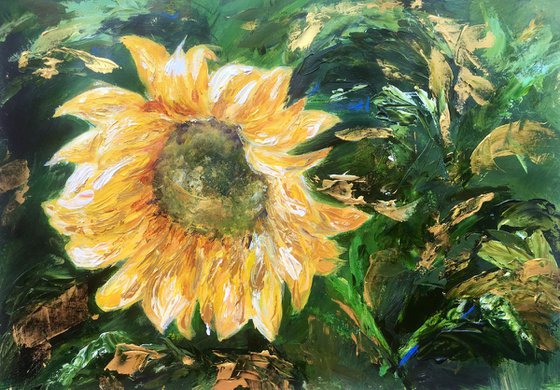 Sunflower pomp