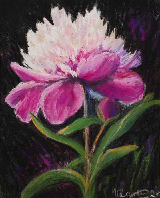 The Peony