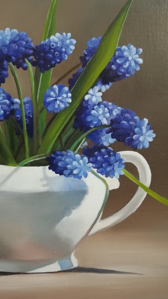 Muscari