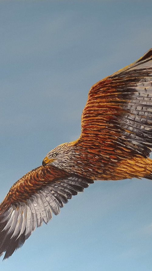 At Home In The Sky by Joseph  Charman