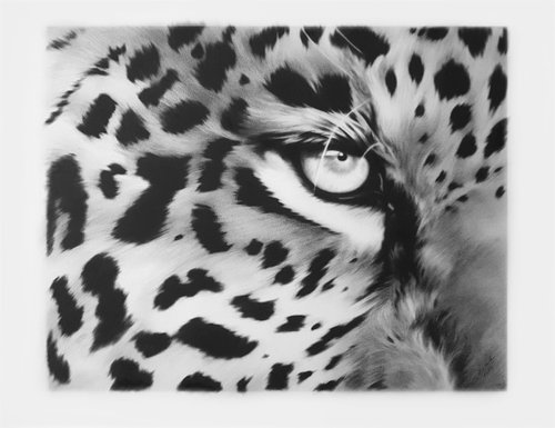 Leopard by ANNA CHOLAK
