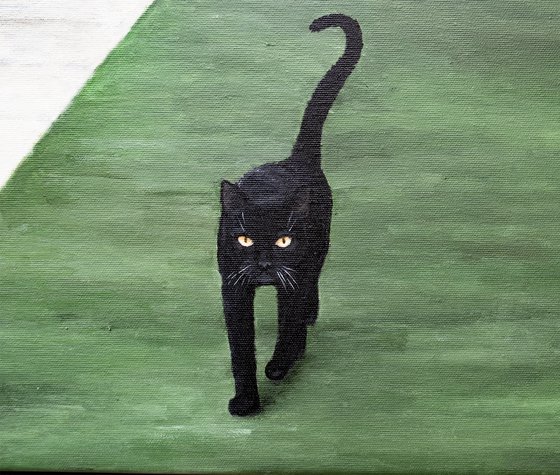 House of the Black Cat