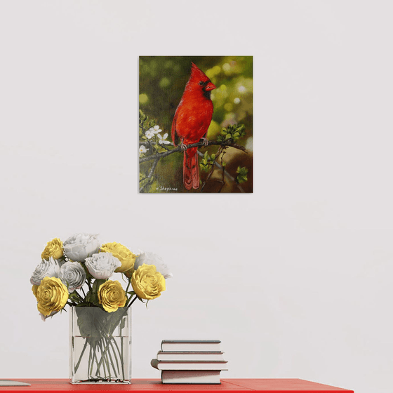 Red Cardinal with Spring Blossoms