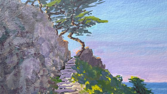 Point Lobos Trail Steps