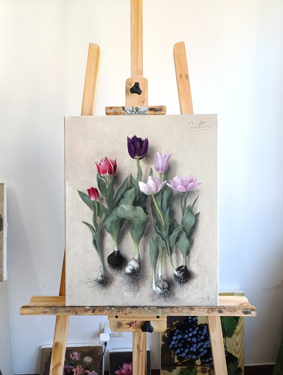 Tulip bulbs 02