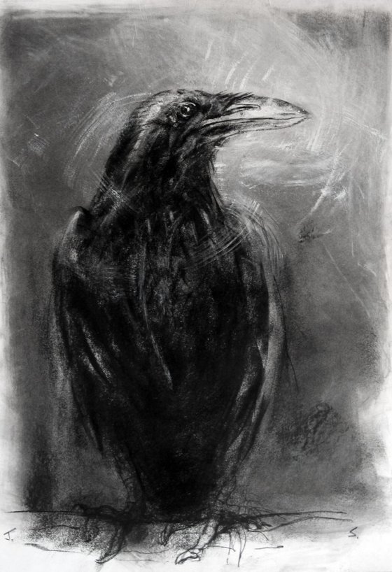 Raven 10