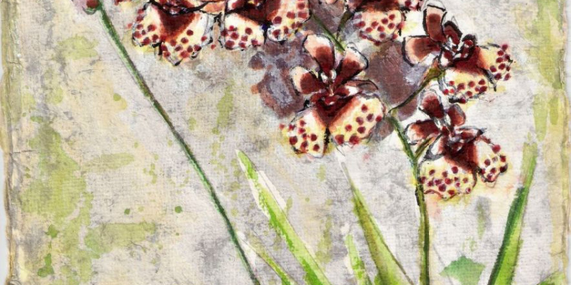 Art of the Day: "Oncidium equitant Orchid in color 1, 2002" by Gordon T.