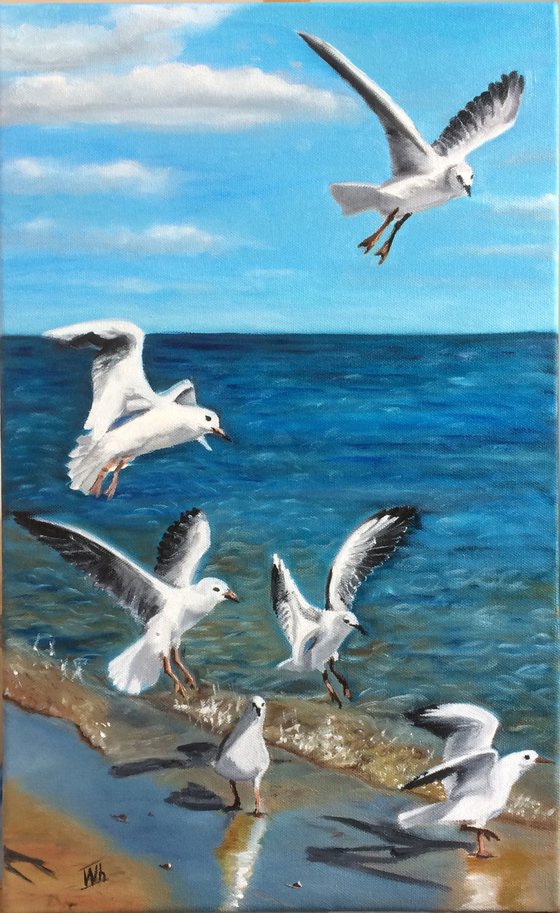 Seagulls on the seashore