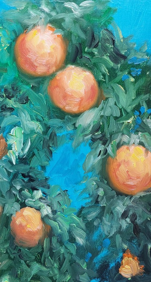 Orange tree in the sun by Els Driesen