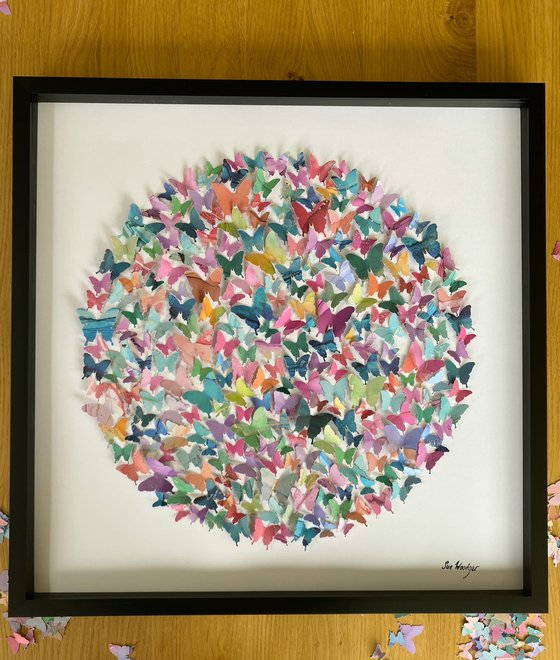 Butterfly circle - study 1
