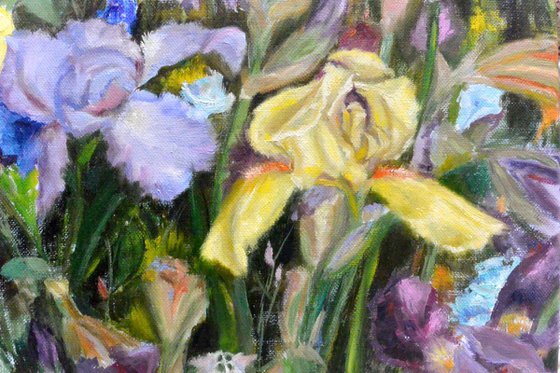 Iris blossom - 30x40 CM OIL PAINTING (2017)