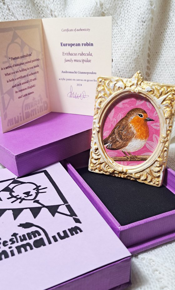European robin, part of framed animal miniature series "festum animalium"