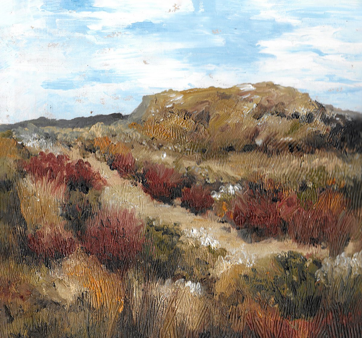 Expressive Oil Painting , Arizona / Open Land By Gozde Temiz Istanbul, 12 X 12, Artwork For Sale On Artfinder