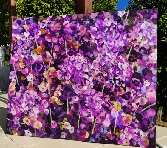 Violet Rhapsody
