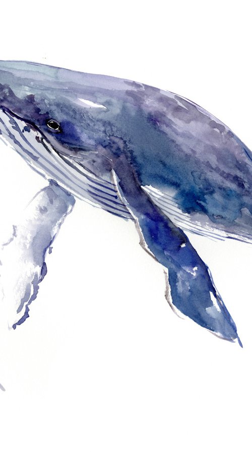 Humpback Whale by Suren Nersisyan